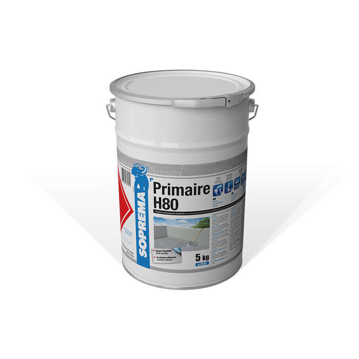 Image du produit ASLAN PRIMAIRE H80 - SEAU DE 5KG