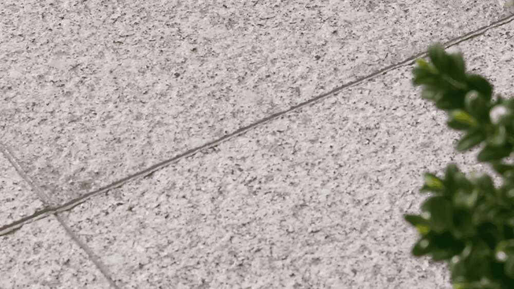 Image du produit DALLE G603 60X40X3CM GRANIT TALILA GREY