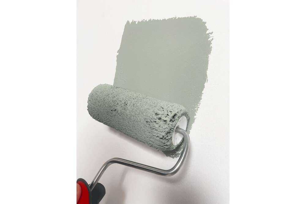 Image du produit MANCHON MICROFIBRE 110 MM MICROLISS'HD 12 - BTE 10 PCES