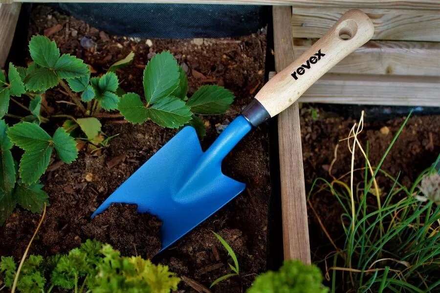 Image du produit TRANSPLANTOIR 345MM AVEC MANCHE BOIS