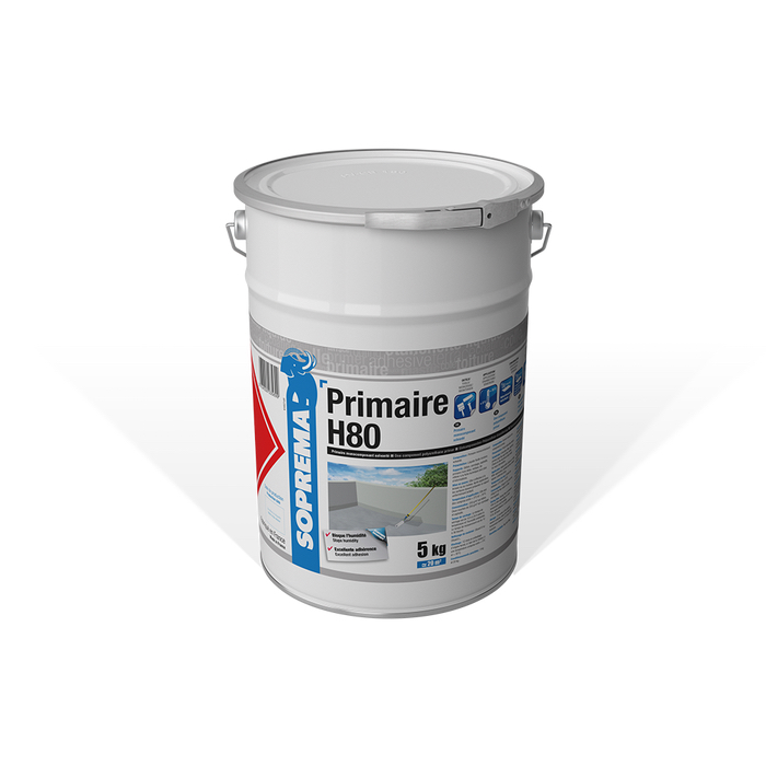 Image du produit ASLAN PRIMAIRE H80 - SEAU DE 5KG