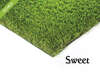 Image du produit GAZON GREEN ECO SWEET / M&sup2;