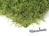 Image du produit GAZON GREEN TOUCH NATURALMENTE 50MM   / M&sup2;